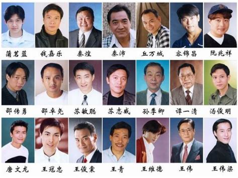 直击中国最成熟帅气的七位男演员，你最喜欢哪一位？|胡歌|男演员|歌手_新浪新闻