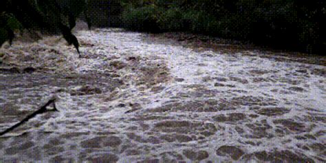 危险！九江3名男子野泳突遇河水暴涨 被困急流之中_手机新浪网