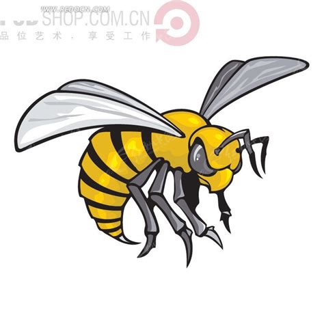 黄蜂 - 蜜蜂百科 - 酷蜜蜂