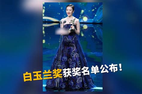 上视节“白玉兰奖”提名名单公布 《欢乐颂》八项提名领跑 ::上海在线 shzx.com