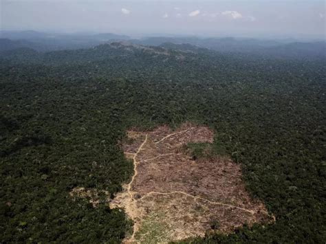 在疫情失控的巴西，亚马孙雨林仍有上千处林火在燃烧-国际环保在线