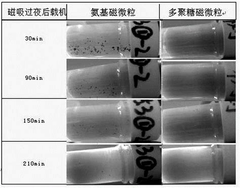 降低微纳米颗粒表面蛋白质非特异性吸附的表面修饰方法与流程