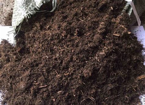 丹麦品氏泥炭土纯多肉营养土种植土土花土草炭土K牌-阿里巴巴