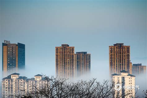 四川南充现大雾天气 城市如笼轻纱-天气图集-中国天气网