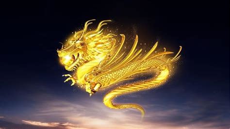 非主流龙的头像