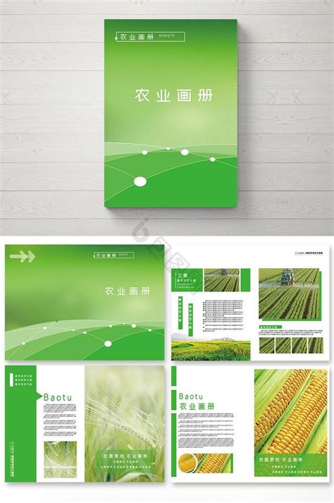 商务公司简约农业招商农产品宣传PPT模板-PPT鱼模板网
