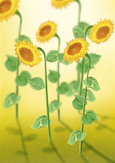 5种关于向日葵的有趣玩法，每一款都活力四射，阳光满满！ - 知乎
