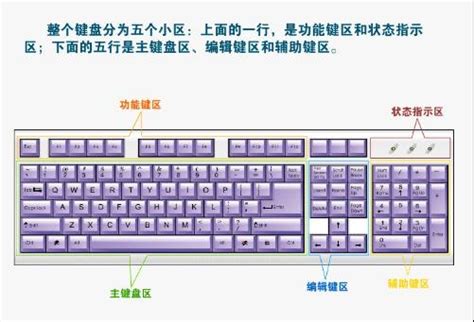 电脑键盘示意图,小鱼教您如何正确的使用键盘_win7教程_小鱼一键重装系统官网