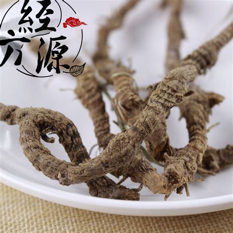 九龙盘草药图片