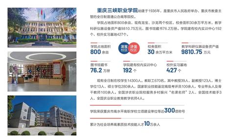 我校赴重庆第二师范学院参加专本贯通转段考试交流会-经济管理与公共事务学院