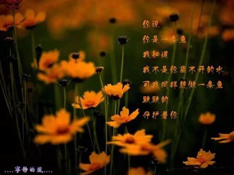 徐志摩：一首未完的诗_文化_腾讯网