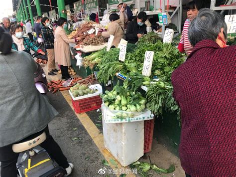 青菜“退烧”！郑州蔬菜价格大幅回落，菠菜价格降幅超一倍_手机新浪网