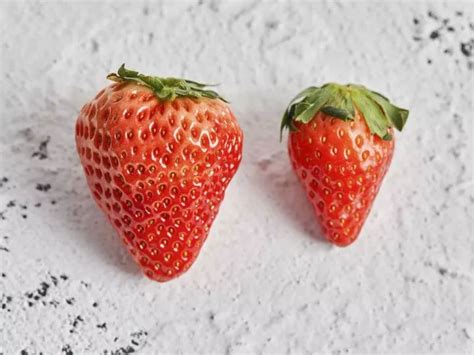 种盆栽草莓，我们只要做好这5点，就可以长出让人羡慕的草莓！