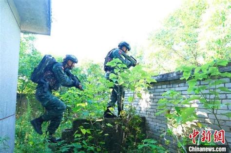 武警贵州总队机动支队特战队员开展反劫持演练(组图)-特种装备网