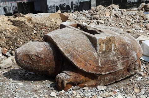 越南国宝千年神龟标本正式对外展示，曾是世界最大乌龟，头大如牛|还剑湖|越南|龟_新浪新闻