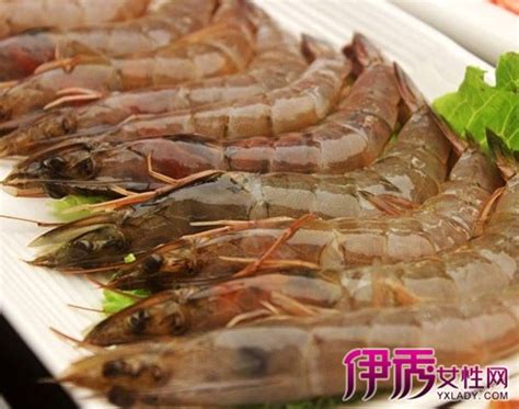 【海虾的家常做法】【图】海虾的家常做法介绍 海虾的食疗价值与食用禁忌(2)_伊秀美食|yxlady.com