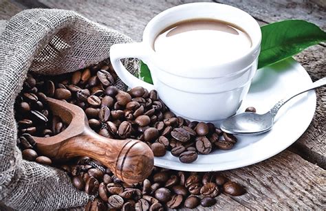 上医文摘 第74期 咖啡因是解药还是毒药？