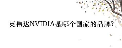 英伟达是哪个国家的的品牌,英伟达/NVIDIA品牌属于什么档次