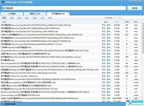 飞扬p2p种子搜索器_官方电脑版_华军软件宝库