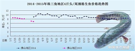 2018年2月大菱鲆市场趋势：行情平稳，年前看涨-中国鳗鱼网