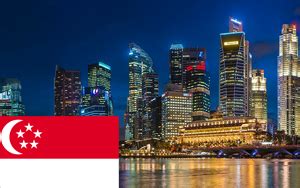 新加坡签证14a表格下载-新加坡签证form14a模版下载-当易网