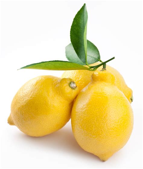 柠檬 - 快懂百科