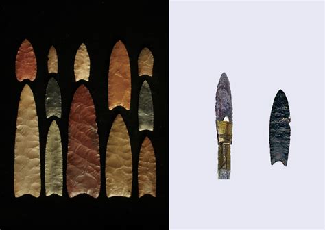 新石器时代 牛牙化石-典藏--桂林博物馆