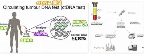 遗传资讯-遗传病生育网