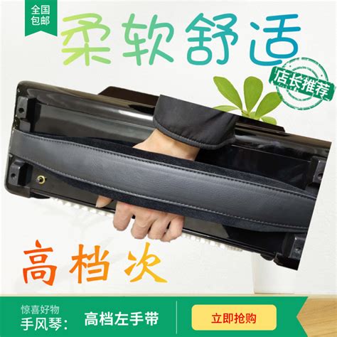手风琴左手贝司图图片
