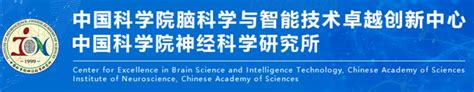 中国科学院脑科学与智能技术卓越创新中心/神经科学研究所暑期学校2023年招生----中国科学院脑科学与智能技术卓越创新中心