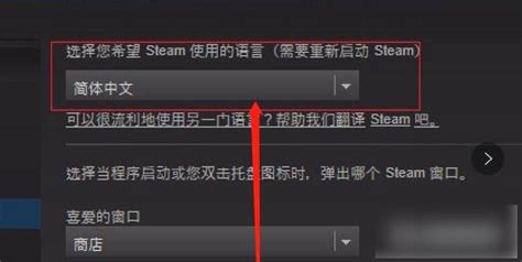 Steam手机版怎么设置中文 Steam手机版中文设置方法-系统家园