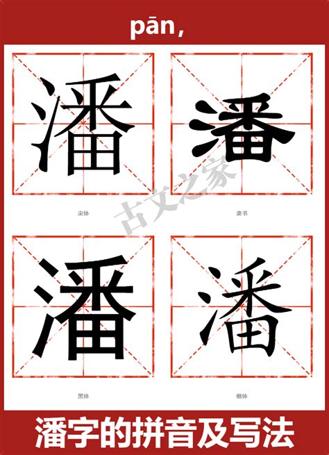 潘尼·肖 的图像结果