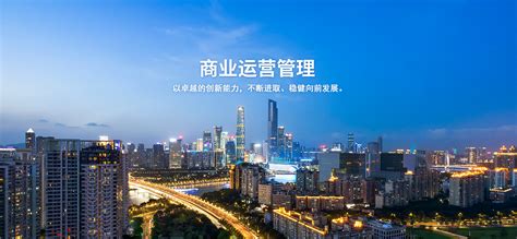 重庆东鸿城市运营管理有限责任公司
