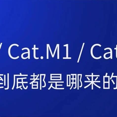 cat是什么意思 _速网