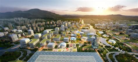 全力规划温州城市东部发展新高地 - 龙湾新闻网