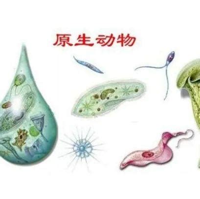 菌物学-智汇三农