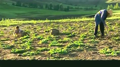 《暖春》爷爷带着小花去山上，捡别人不要的土豆_电影_高清1080P在线观看平台_腾讯视频