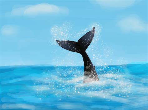 世界上最孤独的鲸鱼Alice|插画|创作习作|木兮Hisao - 原创作品 - 站酷 (ZCOOL)