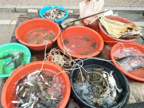 铜川水产市场10月31日关闭 上海水产行业重新洗牌_搜铺新闻