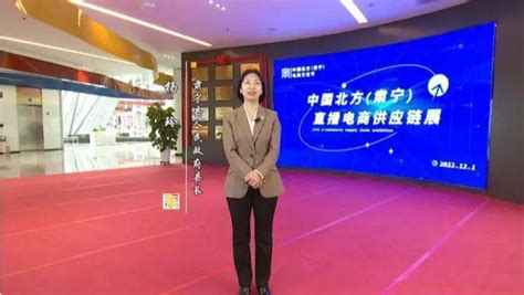 2022中国北方（肃宁）电商文化节开幕_手机新浪网