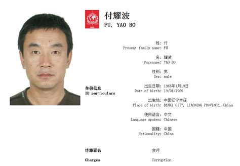 红色通缉令名单：包括7名辽宁外逃人员（图）_辽宁频道_凤凰网