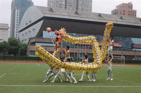 我校舞龙队获上海市第八届龙文化全能赛大学生组舞龙自选动作一等奖