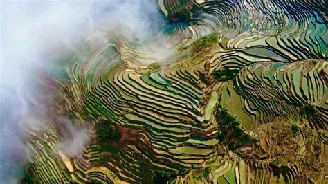 9 Day China Photography Tour | Yunnan Rice Terrace & The Red Land