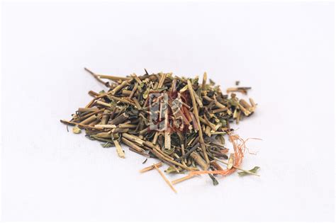 透骨草的图片