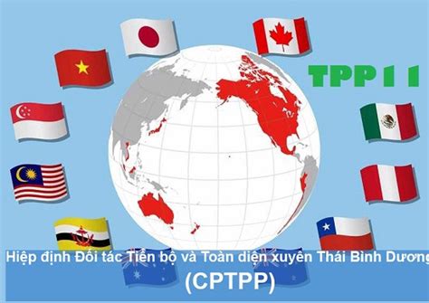 中方正在就加入CPTPP相关事项开展积极研究|RCEP_新浪新闻