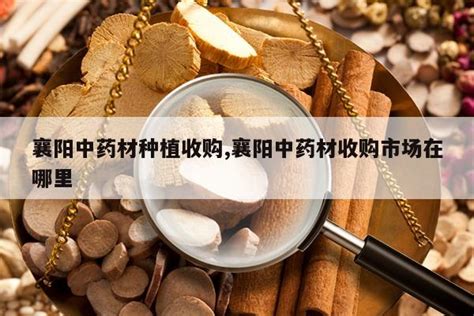 中药药材高清图片下载-正版图片501578425-摄图网