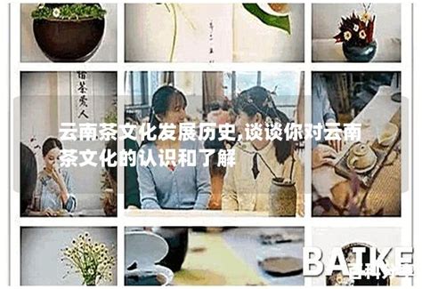 云南茶文化发展历史,谈谈你对云南茶文化的认识和了解 - 茶叶百科