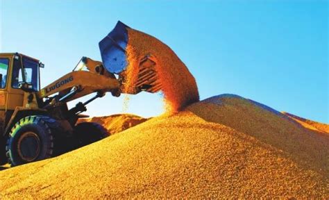 黑龙江粮食生产喜获14连丰｜总产量1203.8亿斤，继续保持全国第一