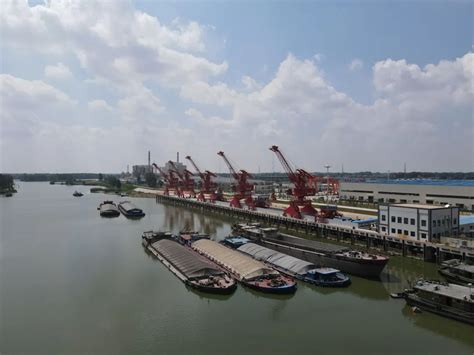 阜阳这一大型码头，交工验收！|码头|临泉|阜阳_新浪新闻