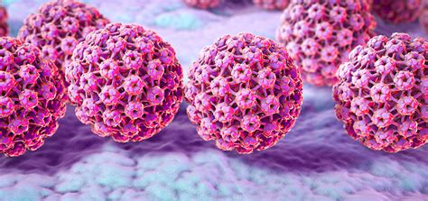 Vírus HPV: sintomas, transmissão e tratamentos